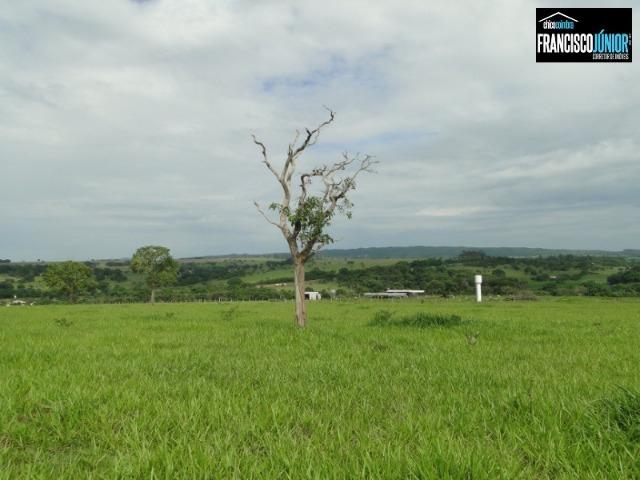 Fazenda em Piracanjuba, perto de Goiânia, 13 Alqueires de pura beleza, frente para rodovia - Foto 17