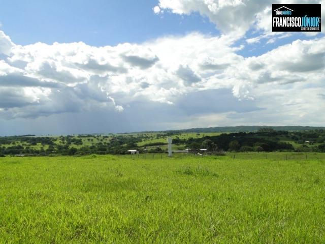 Fazenda em Piracanjuba, perto de Goiânia, 13 Alqueires de pura beleza, frente para rodovia - Foto 18