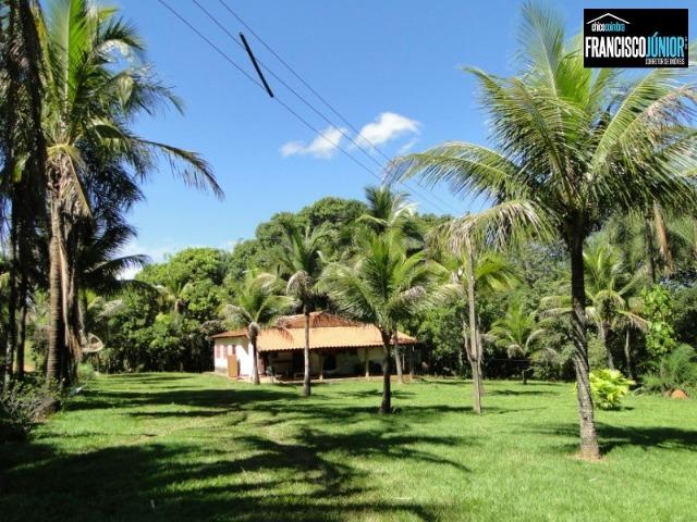 Fazenda em Piracanjuba, perto de Goiânia, 13 Alqueires de pura beleza, frente para rodovia - Foto 9