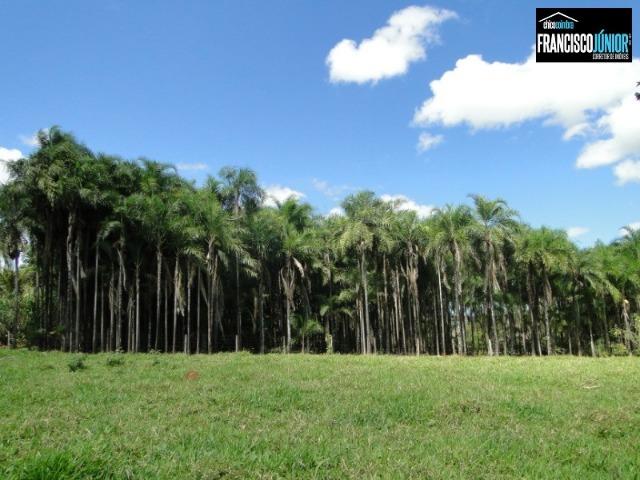Fazenda em Piracanjuba, perto de Goiânia, 13 Alqueires de pura beleza, frente para rodovia - Foto 8
