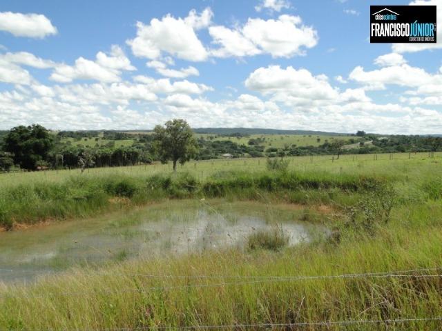 Fazenda em Piracanjuba, perto de Goiânia, 13 Alqueires de pura beleza, frente para rodovia - Foto 19