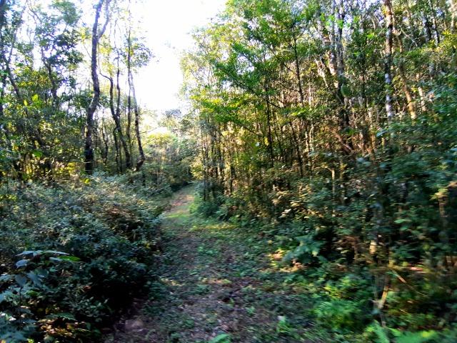 Chácara em Fazenda Souza - Foto 7