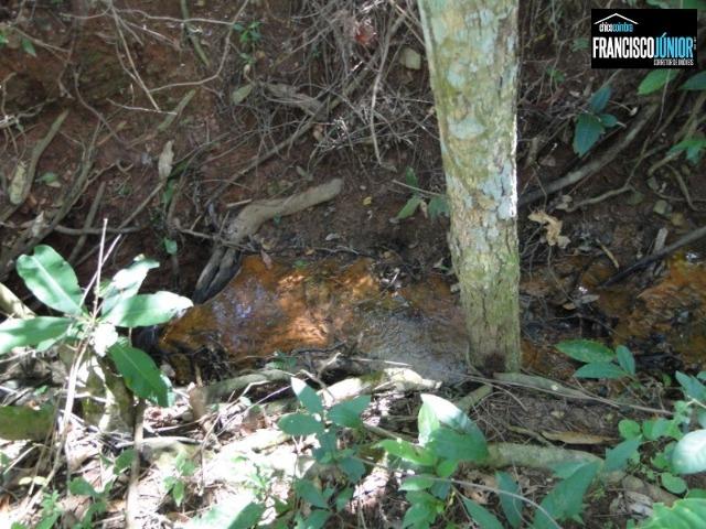 Fazenda em Piracanjuba, perto de Goiânia, 13 Alqueires de pura beleza, frente para rodovia - Foto 11