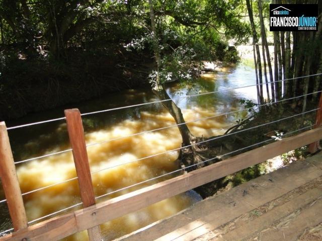 Fazenda em Piracanjuba, perto de Goiânia, 13 Alqueires de pura beleza, frente para rodovia - Foto 6