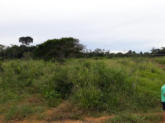 Fazenda a Venda - Machadinho - Mt