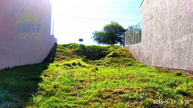 Terreno, Protásio Alves, Porto Alegre-RS - Foto 7
