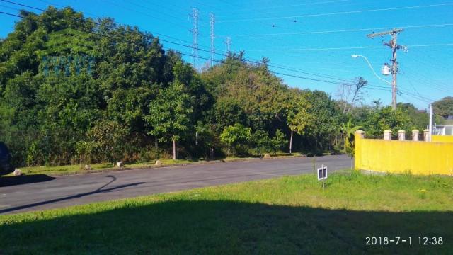Terreno, Protásio Alves, Porto Alegre-RS - Foto 4