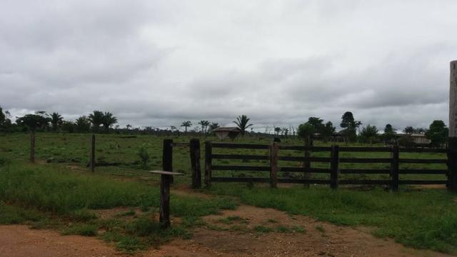 Fazenda - Porto Belo Linha 120 - 900 hectares - Foto 2