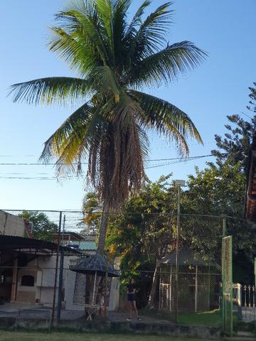 Casa de eventos em Nova Cidade SG - Foto 15