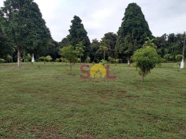 Chácara à venda, 20 hectares por r$ 1.500.000 - br-343 - altos/pi - Foto 6
