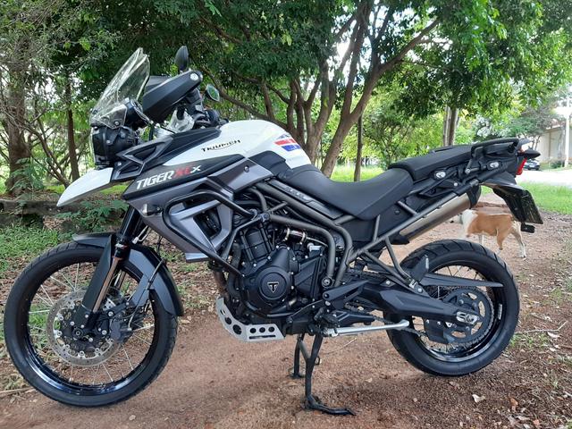 olx triumph tiger