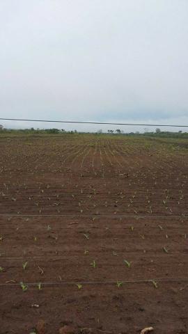 Vendo Fazenda Centro do Maranhão com excelente localização,terra teor argila 40/55% - Foto 11