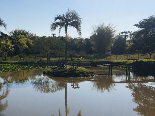 Sitio em Nova Santa Rita - Foto 9