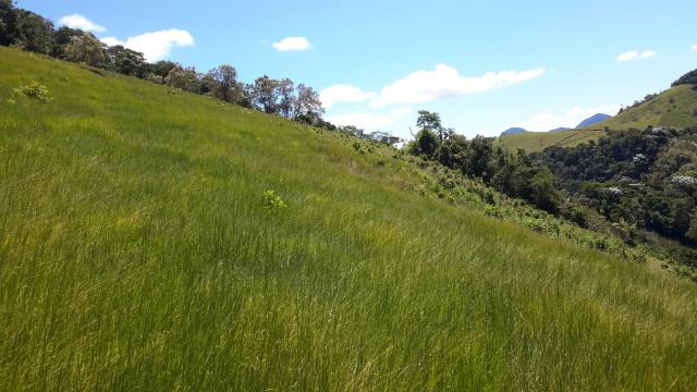 Santa Leopoldina Fazendinha escriturada - Foto 10