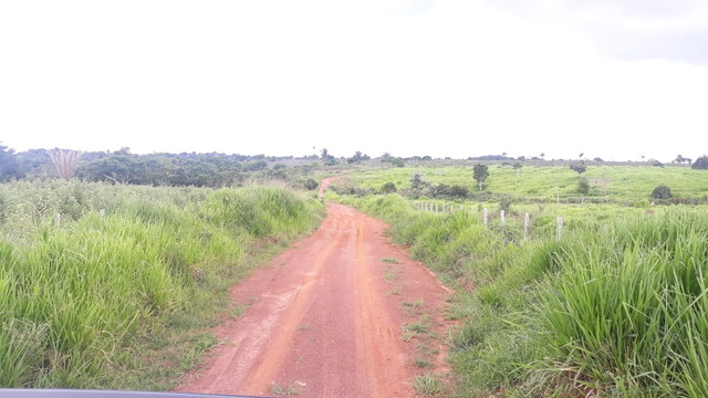 Fazenda 14.364 hectares em Alta Floresta-MT - Foto 4