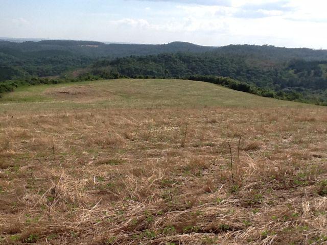 Fazenda de 68 Alqueires . 44 alqueires Mecanizados .Mil Sacas de Soja por Alqueire - Foto 15