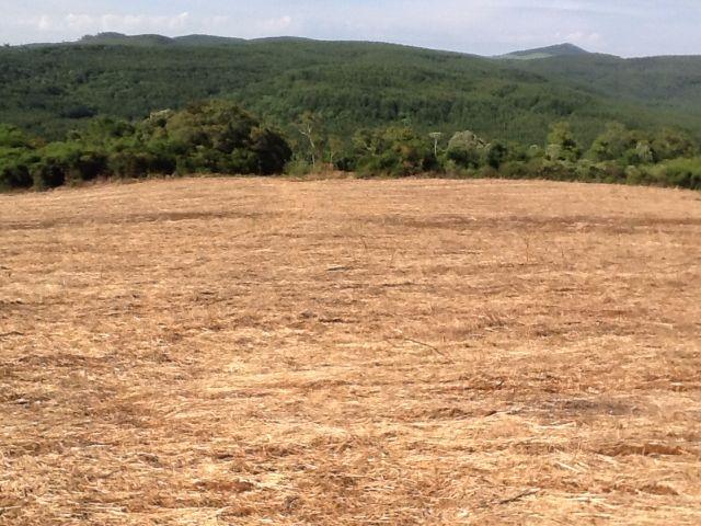 Fazenda de 68 Alqueires . 44 alqueires Mecanizados .Mil Sacas de Soja por Alqueire - Foto 4