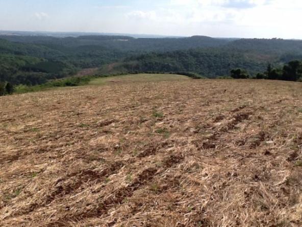 Fazenda de 68 Alqueires . 44 alqueires Mecanizados .Mil Sacas de Soja por Alqueire - Foto 12