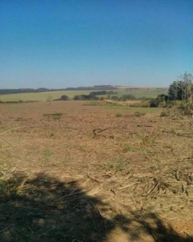 Terreno à venda em Zona rural, Cosmopolis cod:AR004467 - Foto 2
