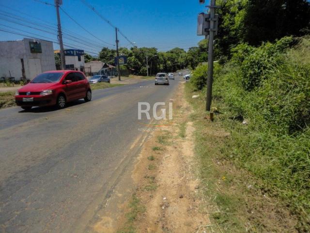 Terreno à venda em Morro santana, Porto alegre cod:CS36007063 - Foto 5