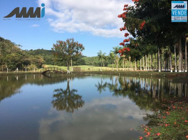 Sitio em piçarras, campo de futebol, galpão, casa, piscina - Foto 13