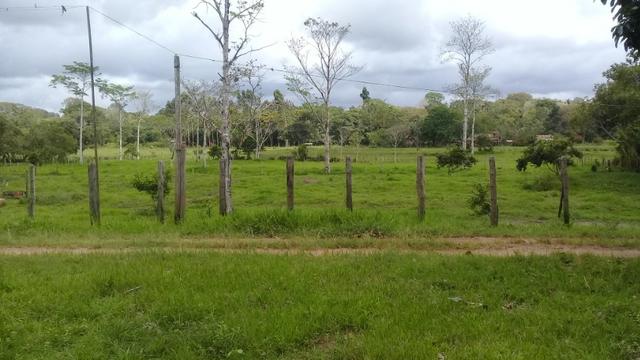 Fazenda pra ser feliz - Foto 15