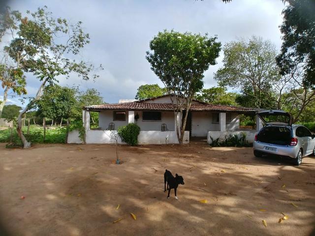 Granja com 8.8 hectares próximo da reta tabajara - Foto 15