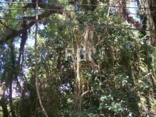 Terreno à venda em Belém novo, Porto alegre cod:VI3499 - Foto 4