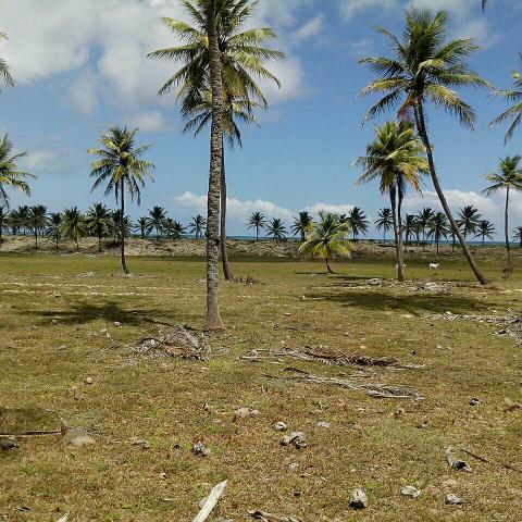Terreno Beira Mar apenas R$8,00 m2 - Foto 3