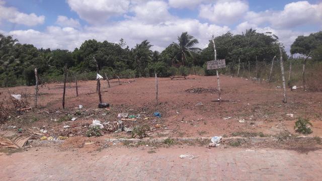 Terreno - Foto 2