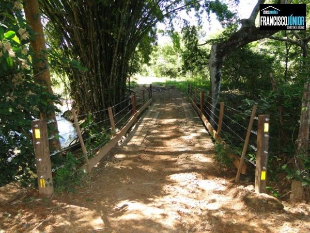 Fazenda em Piracanjuba, perto de Goiânia, 13 Alqueires de pura beleza, frente para rodovia - Foto 5