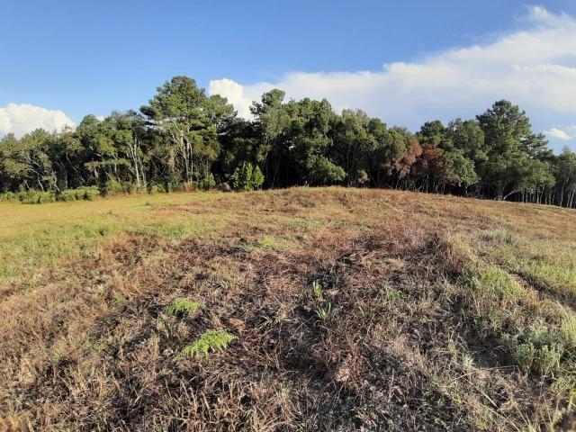 Chácara em Fazenda Souza - Foto 13