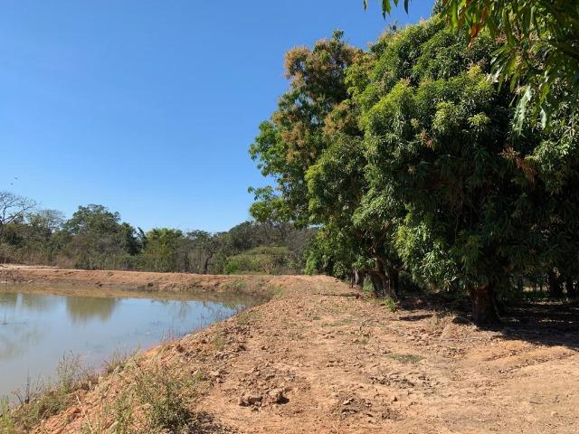 Cocalzinho Goiás - Foto 19