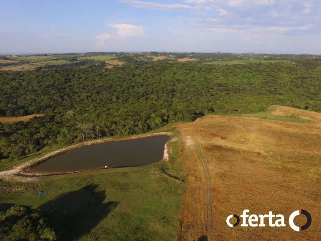 Fazenda com 54 alqueires em Mariental, na Lapa - Foto 9