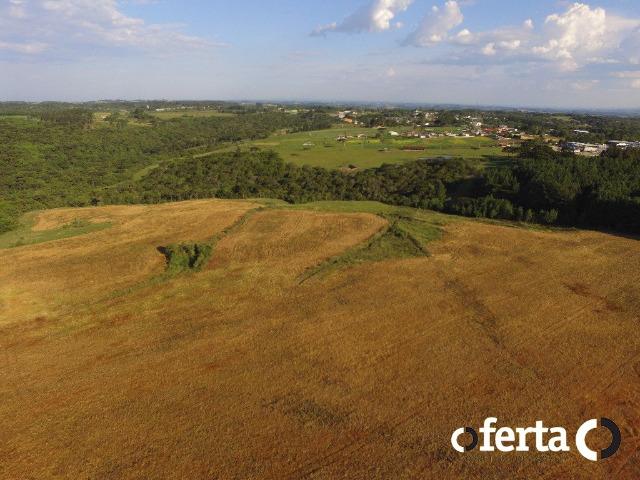 Fazenda com 54 alqueires em Mariental, na Lapa - Foto 8
