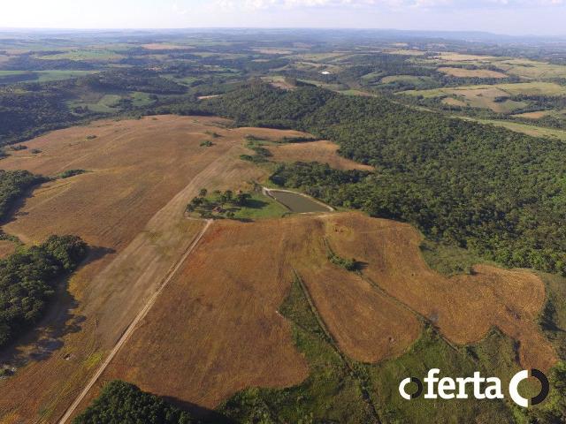 Fazenda com 54 alqueires em Mariental, na Lapa - Foto 13