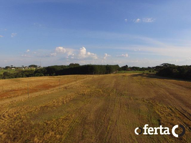 Fazenda com 54 alqueires em Mariental, na Lapa - Foto 7