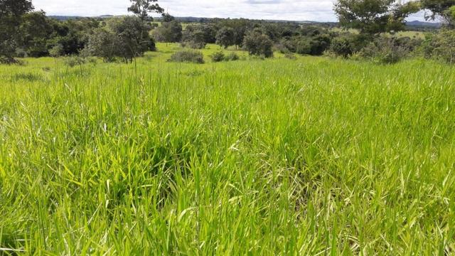 Vendo fazenda bem localizada com 726000m² - Foto 2
