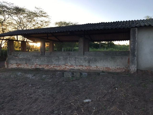 Sítio - Foto 8