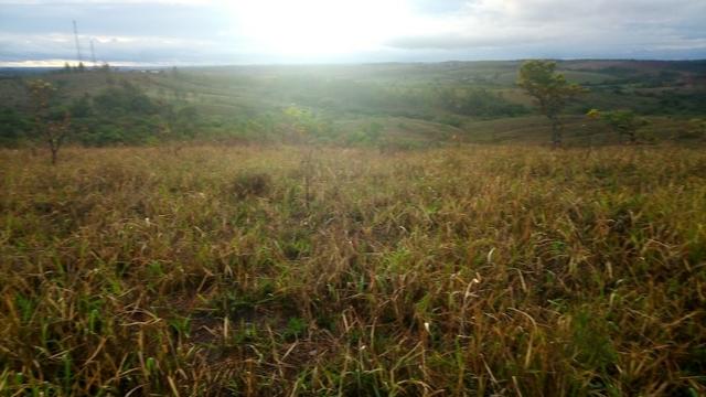 Vende-se Sítio no município de Lagamar 56 Hectares - Foto 15