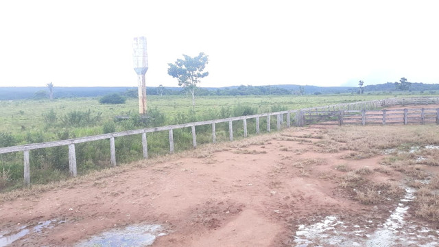 Fazenda 14.364 hectares em Alta Floresta-MT - Foto 9