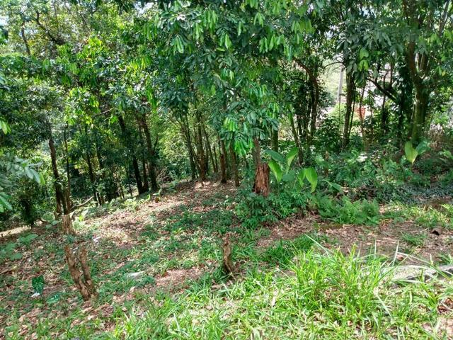 Belíssimo sítio em Guapimirim medindo 5.000m2 oportunidade!!!! - Foto 8