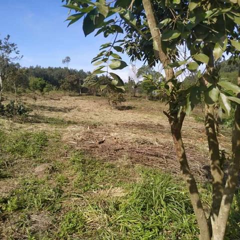 Pego sua moto entrada - Foto 3