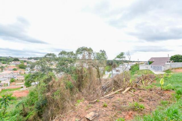 Terreno à venda em Gralha azul, Fazenda rio grande cod:151562 - Foto 12