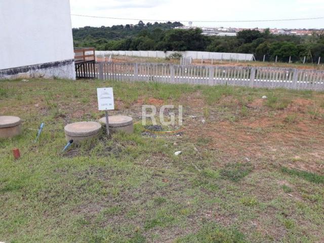 Terreno à venda em Morro santana, Porto alegre cod:MF22185 - Foto 7