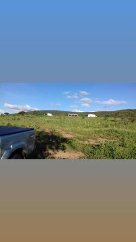 Fazenda com 150 hectares em cachoeira do sapo na br 304 zap. * - Foto 4