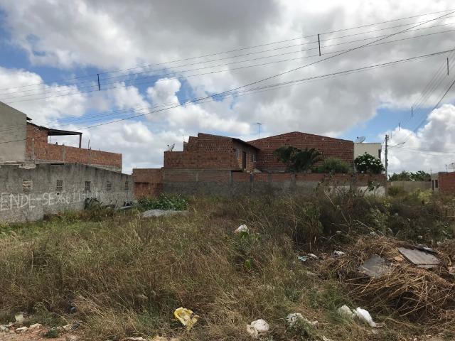 Terreno 10X20 (200,00m²) - Bezerros-PE