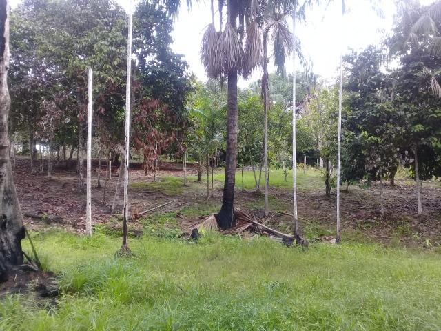 Manacapuru Lindo sitio em, km 69, ramal do Acajatuba com casa mobiliada e igarapé - Foto 16