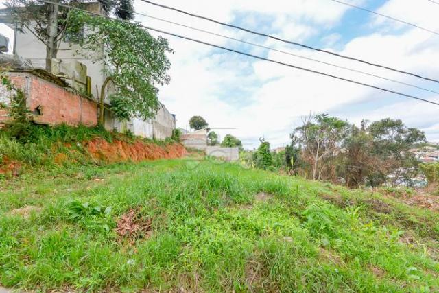 Terreno à venda em Gralha azul, Fazenda rio grande cod:151562 - Foto 3