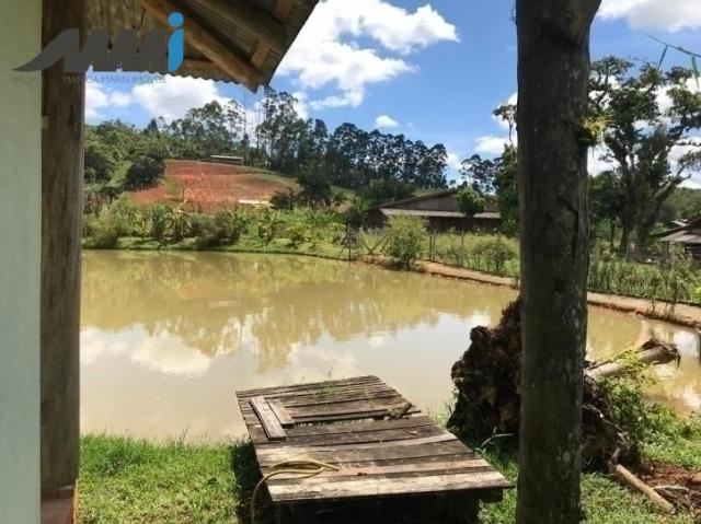 Sítio em piçarras - Foto 3